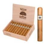 Buy Charter Oak Connecticut Shade Grande