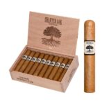 Buy Charter Oak Connecticut Shade Rothschild